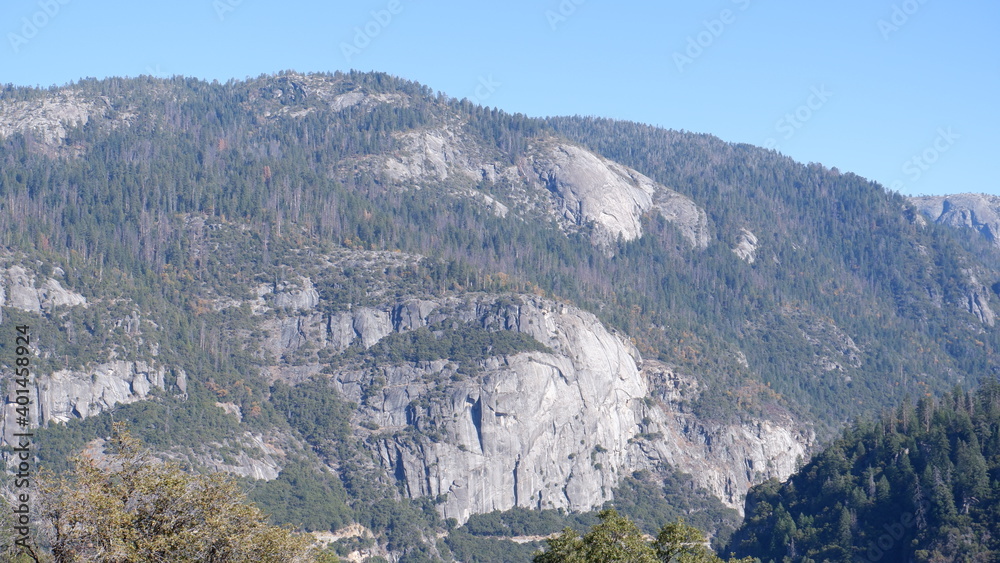 Fototapeta premium Forest and mountain landscape