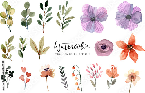 Watercolor Floral Vector Collection Set elements photo