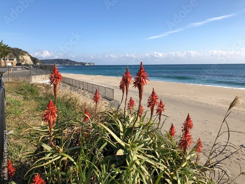 Hebara Beach in Katsuura, Chiba, Japan during the winter months, the Pacific Ocean is very blue with a nice clean white sand beach. There are no people on this stunning coastline due to Covid in 2020 photo