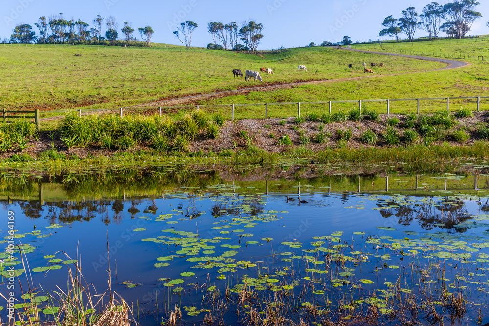 Country farm land and reflections in Byron bay area, New South Wales, Australia. Country farm land and reflections in Byron bay area, New South Wales, Australia.