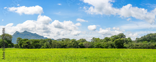 Panorama landscape view of green grass field agent blue sky