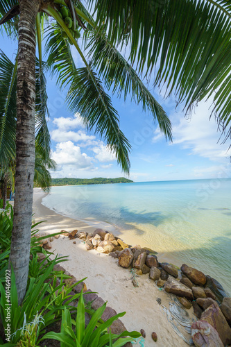 Fototapeta Naklejka Na Ścianę i Meble -  Tropical beach with coconut palm trees in resort