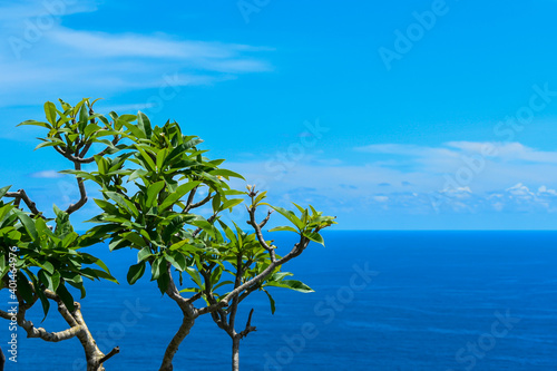 Beautiful beaches in bali - nusa penida kelingking beach, uluwatu, pandava beach, tanah lot, kuta beach