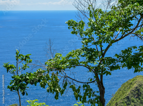 Beautiful beaches in bali - nusa penida kelingking beach, uluwatu, pandava beach, tanah lot, kuta beach