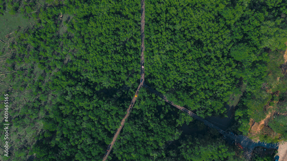 Top view of bridge on the forest