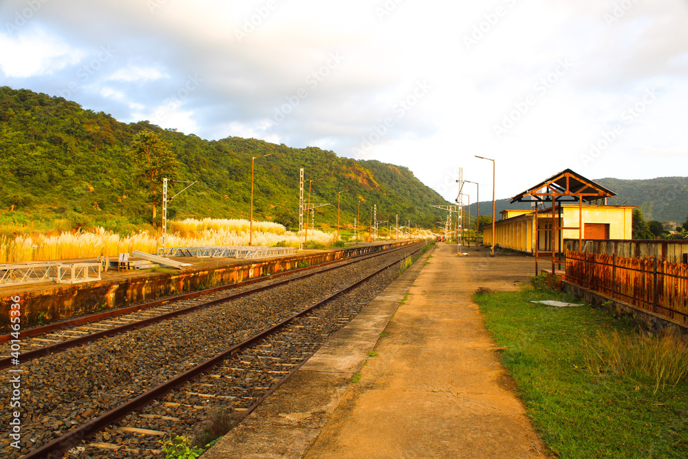 Fototapeta premium train on the bridge