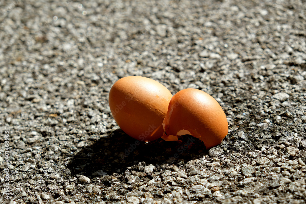 Egg shells on road tar Egg shells on road tar