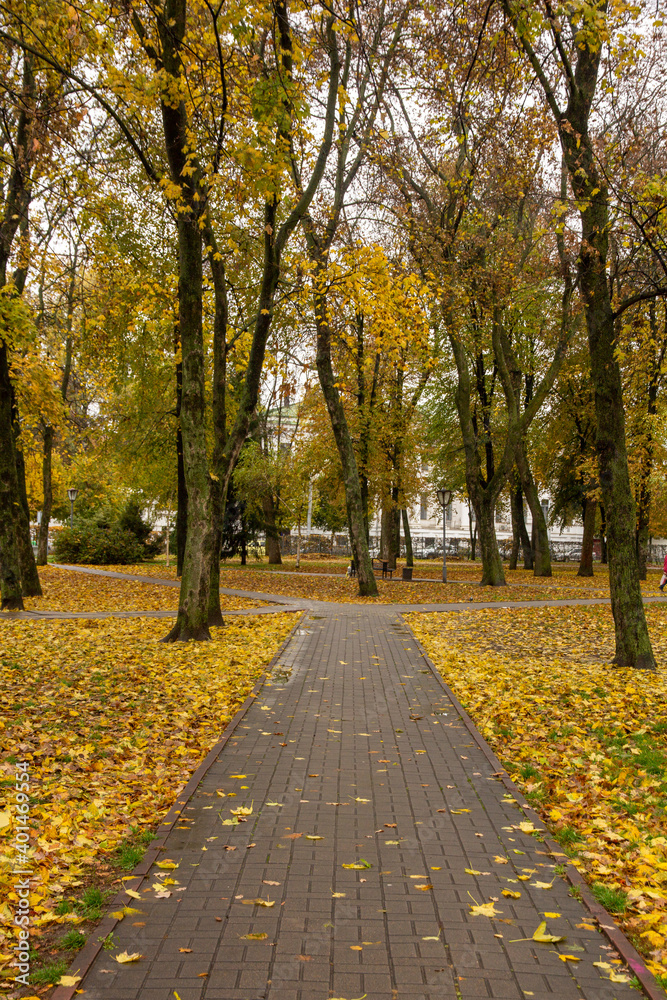 Fototapeta premium Path with autumn leaves in the old park