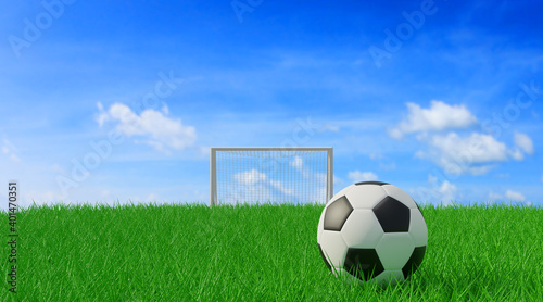 ball on soccer field. 3d rendering © fgnopporn