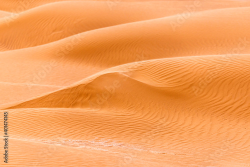 Bend of the ridge of a sand dune in the desert © rostovdriver