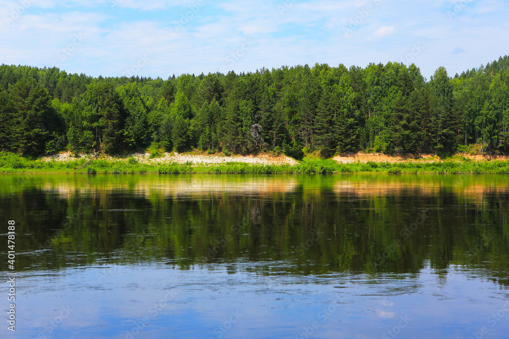 Blue water in a forest lake with pine trees