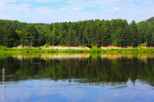 Blue water in a forest lake with pine trees