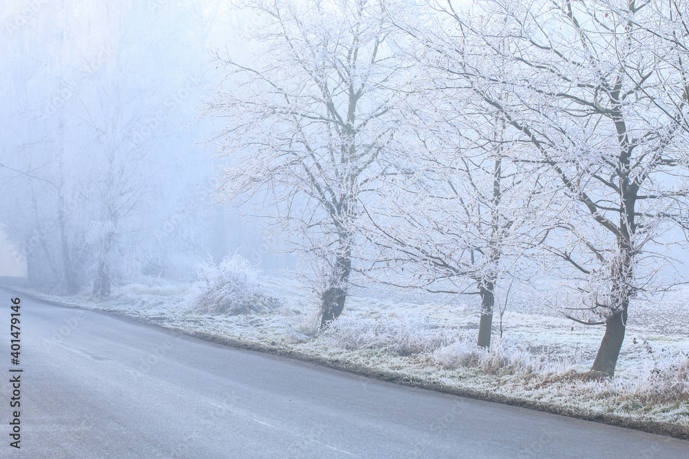 A road through the winter forest. Misty landscape. A road through the winter forest. Misty landscape.