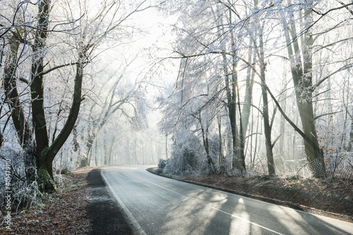 A road through the winter forest. Misty landscape. © agneskantaruk