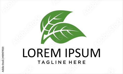 COMBINATION LOGO FROM TWO GREEN LEAF DESIGN 