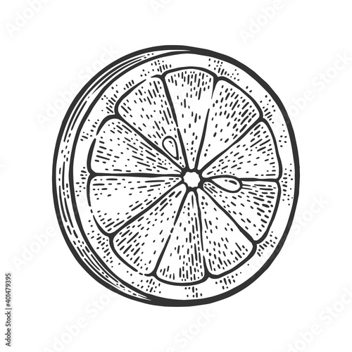 Lemon slice sketch raster illustration