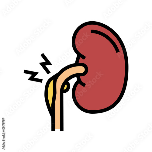 nephritic syndrome color icon vector. nephritic syndrome sign. isolated symbol illustration
