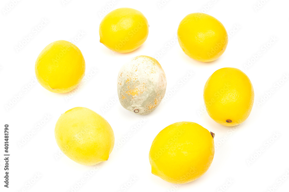 Rotten lemon next to fresh lemons on a white background Rotten lemon next to fresh lemons on a white background