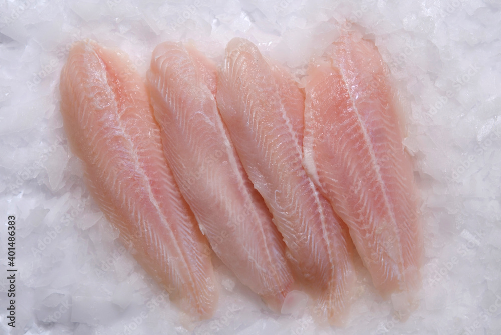 Fototapeta premium mackerel fish kept on ice
