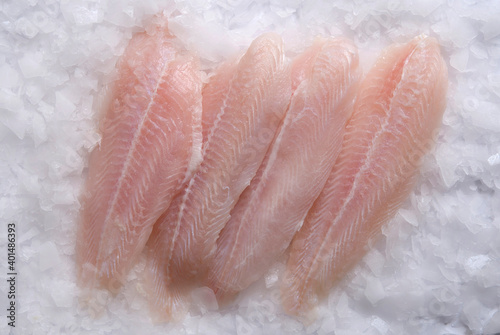 mackerel fish kept on ice