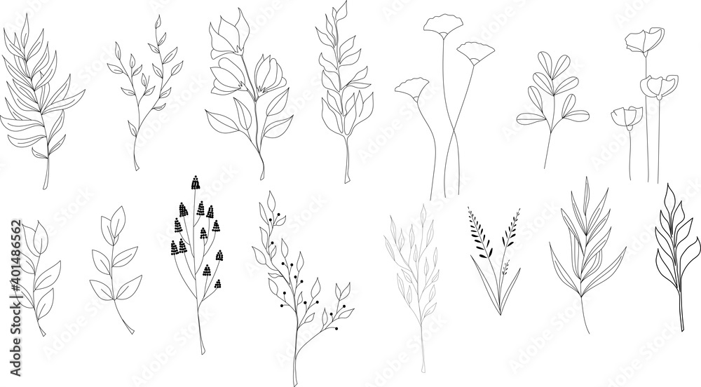 Set of vector doodle branch Set of vector doodle branch