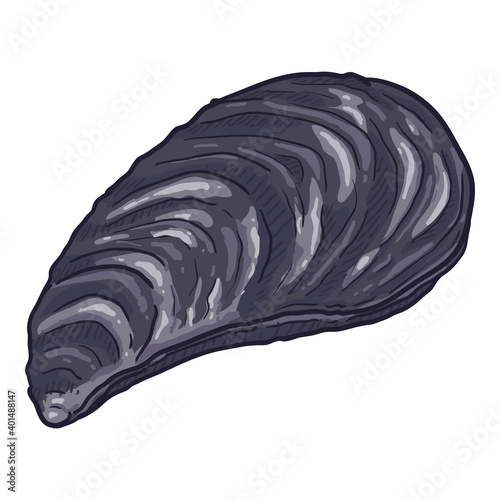 Vector Single Cartoon Mussel Illustration