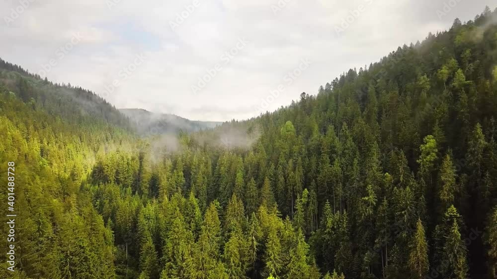 Aerial view of green mountain hills covered with evergreen spruce forest in summer. Aerial view of green mountain hills covered with evergreen spruce forest in summer.