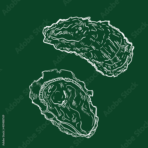 Vector Chalk Sketch Oyster Illustrations