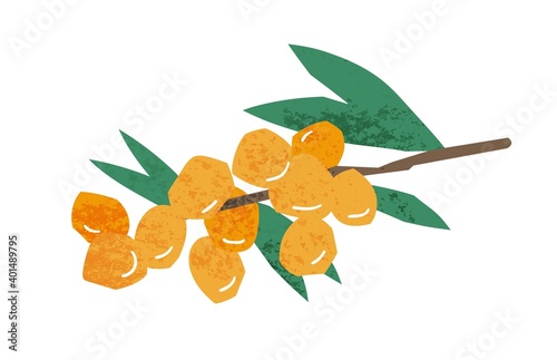 Natural hand drawn branch of sea buckthorn yellow berries vector flat illustration. Colorful berry with stem and leaves isolated on white background. Seasonal edible fruit