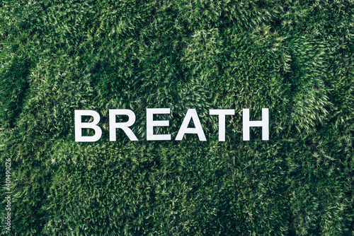 Word Breath on moss, green grass background. Top view. Copy space. Banner. Biophilia trend. Nature backdrop. Peace of Mind, health concept. Take a deep breath. Health, wellness concept