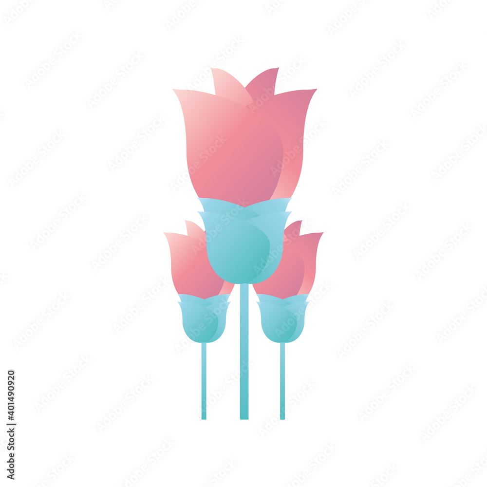 chinese pink flowers vector design chinese pink flowers vector design