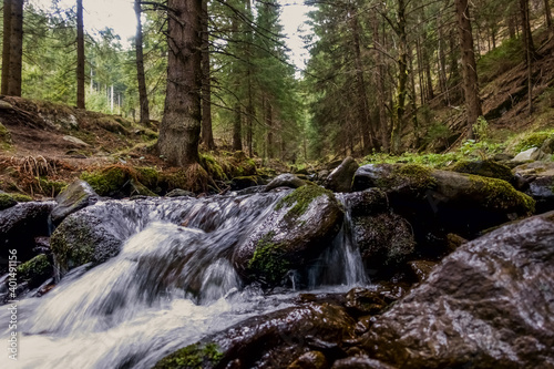 beautiful flowing mountain torrent in the forest while hiking