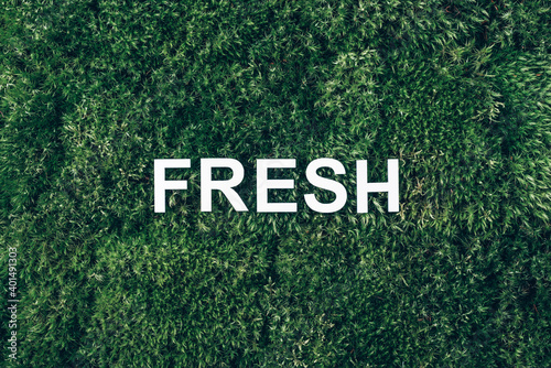 Word Fresh on moss, green grass background. Top view. Copy space. Banner. Biophilia concept. Nature backdrop