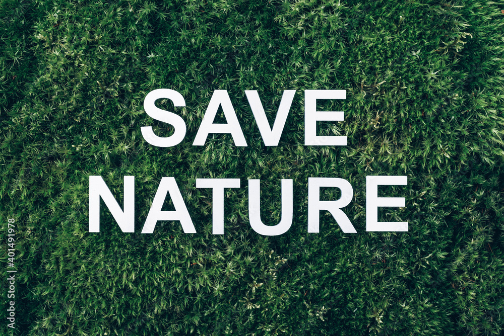 Inscription Save Nature on moss, green grass background. Top view. Copy space. Banner. Biophilia concept. Nature backdrop
