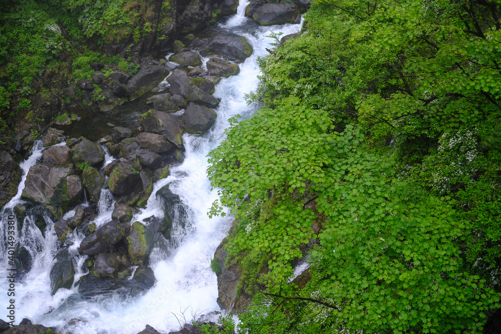 栃木県の華厳の滝 栃木県の華厳の滝