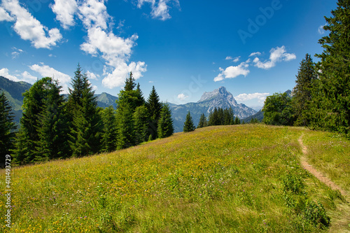 Mountain and forest panorama in the Gesäuse National Park in Styria, Austria