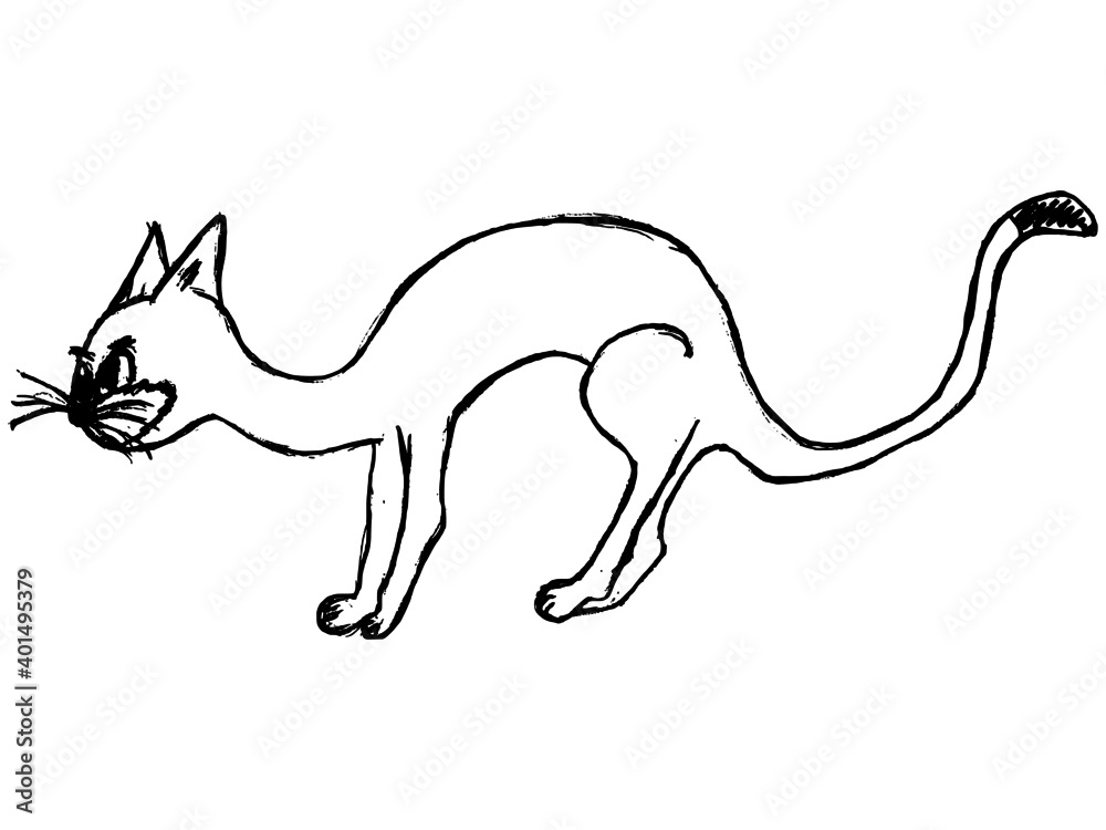 
vector illustration freehand drawing cat cartoon