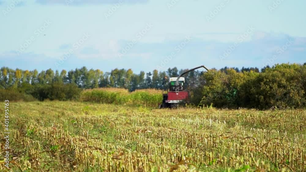 harvesting grass in the field harvesting grass in the field