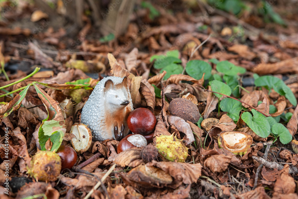 Small porcelain hedgehog on the ground with fallen autumn leaves and chestnut

