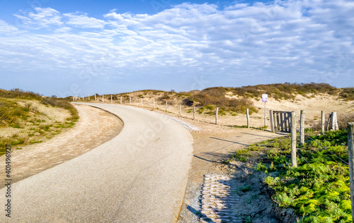 Quadro em tela Bicycle track through the dunes of The Hague and Scheveningen