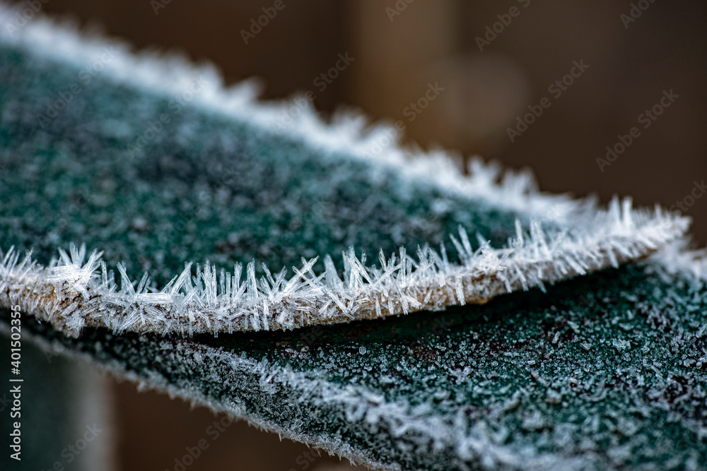 close up of frost nacka, stockholm, sweden