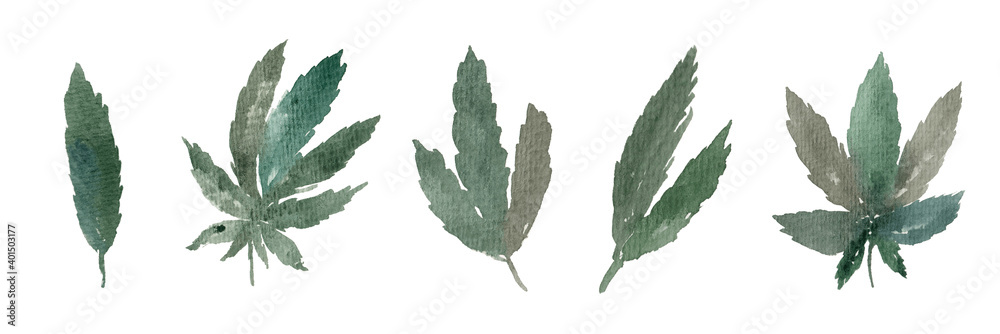 Set of watercolor hemp leaves isolated on white background. Medical marijuana, cannabis, botany, health, fashion. Set of watercolor hemp leaves isolated on white background. Medical marijuana, cannabis, botany, health, fashion.