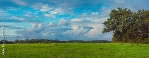 Landscape panorama. Sky with clouds. Green meadow. Gorgeous rural scene. Single tree with large open space.