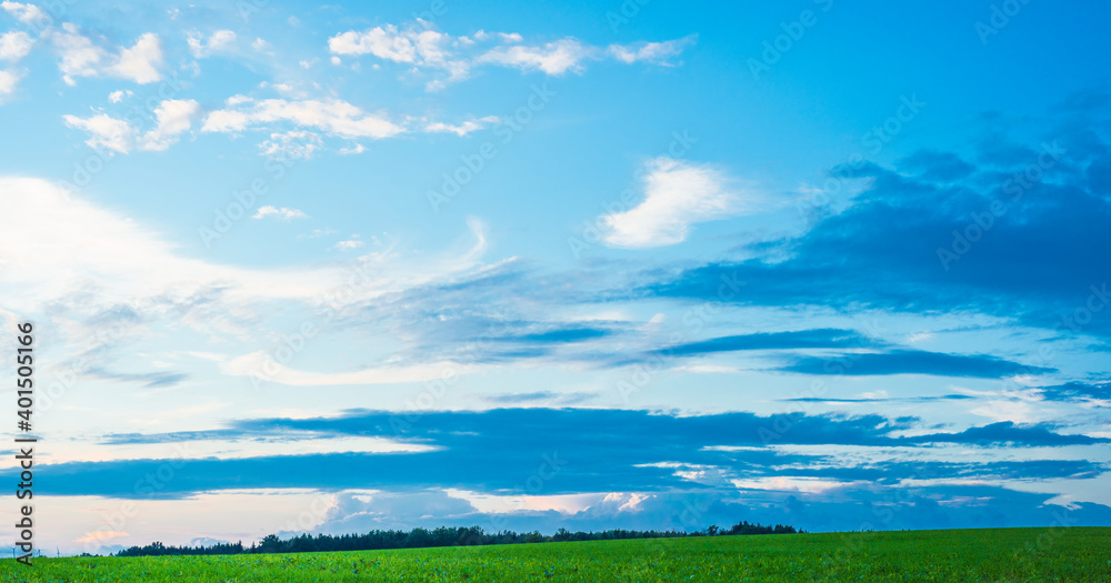 Landscape panorama. Sky with clouds. Green meadow. Gorgeous rural scene. Large open space.