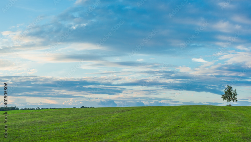 Landscape panorama. Sky with clouds. Green meadow. Gorgeous rural scene.