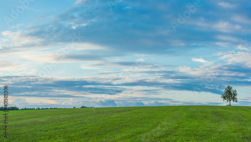 Landscape panorama. Sky with clouds. Green meadow. Gorgeous rural scene.