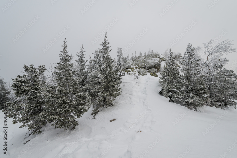a trail stretching into the distance through a fabulous snow covered forest a trail stretching into the distance through a fabulous snow covered forest