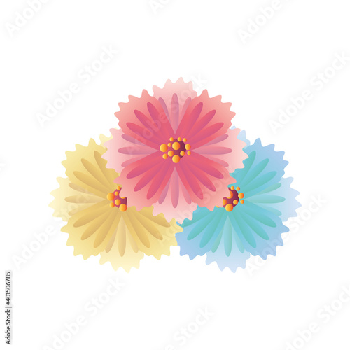 pink yellow and blue flowers vector design