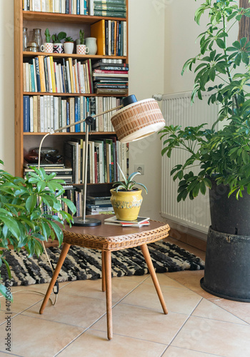 Mid century modern lamp on a small table with houseplants - in the background a bookshelf - cosy vintage style interior