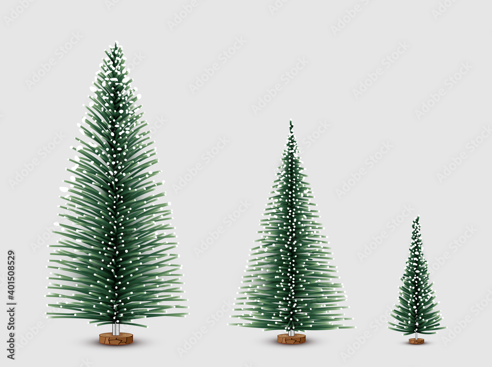 Set of spruce trees with separated needles and snow.